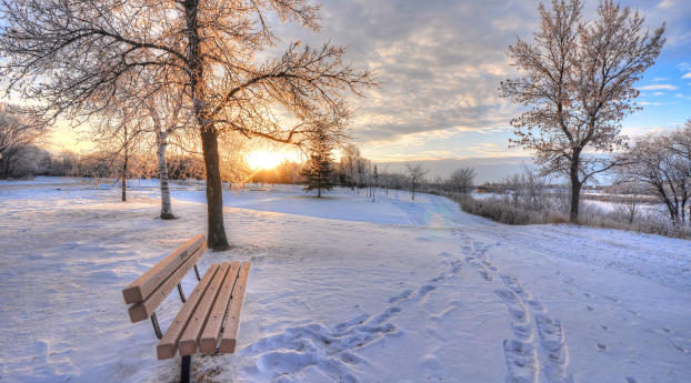 winter, snow, dawn Wallpaper 1125x2436 Resolution