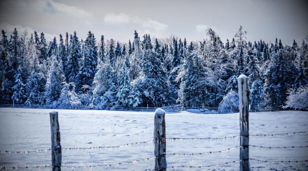 winter, snow, fence Wallpaper 720x1440 Resolution