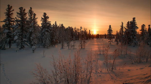winter, snow, sunset Wallpaper 2560x1440 Resolution
