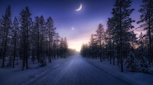 Winter Sunset Photography Wallpaper 1080x2048 Resolution