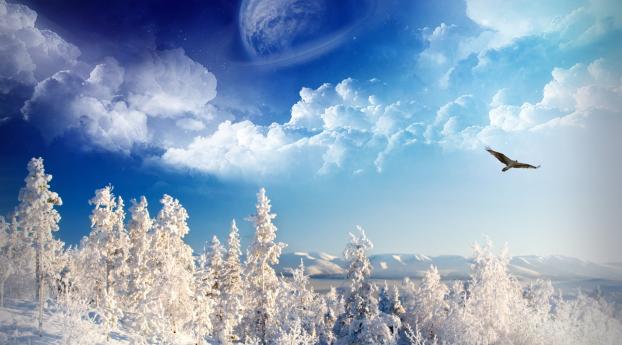 winter, trees, mountains Wallpaper 1366x768 Resolution