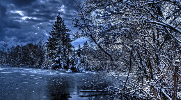 winter, trees, river Wallpaper 2160x3840 Resolution