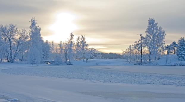winter, winter landscape, trees Wallpaper 1280x1024 Resolution