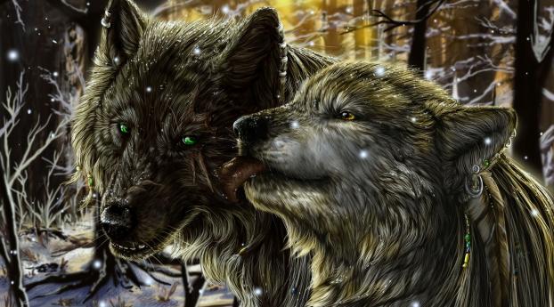 wolves, pair, tenderness Wallpaper 640x960 Resolution