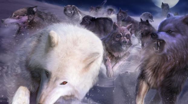 wolves, pursuit, rage Wallpaper 1440x2960 Resolution