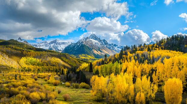 Yellow Forest Landscape 4k Mountains Wallpaper 250x250 Resolution