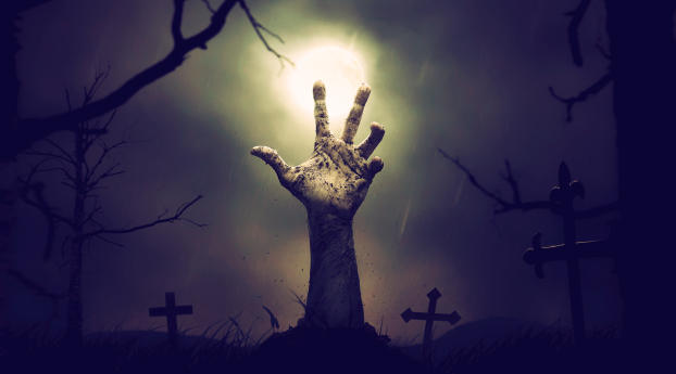 Zombie Hand From Cemetery Wallpaper 1440x3120 Resolution